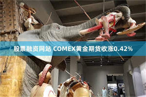 股票融资网站 COMEX黄金期货收涨0.42%