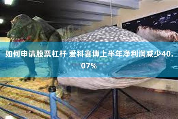 如何申请股票杠杆 爱科赛博上半年净利润减少40.07%