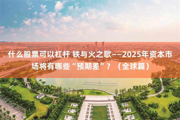 什么股票可以杠杆 铁与火之歌——2025年资本市场将有哪些“预期差”？（全球篇）