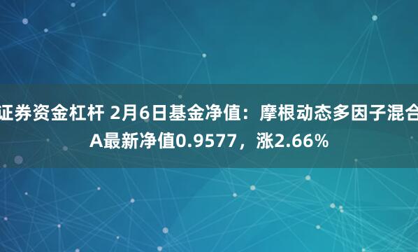 证券资金杠杆 2月6日基金净值：摩根动态多因子混合A最新净值0.9577，涨2.66%