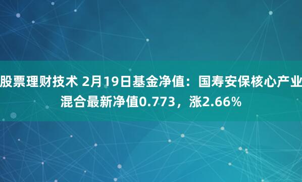 股票理财技术 2月19日基金净值：国寿安保核心产业混合最新净值0.773，涨2.66%